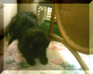 PHTO0002_01.JPG