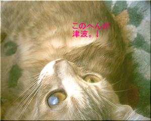 PHTO0006_00.JPG