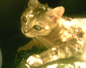 7e5f7854.JPG
