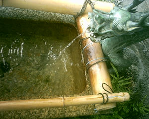 PHTO0032.JPG