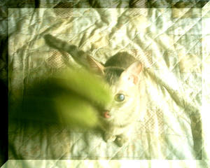 PHTO0007_00.JPG