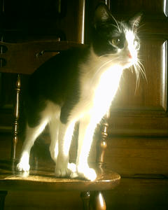 PHTO0013_00.JPG