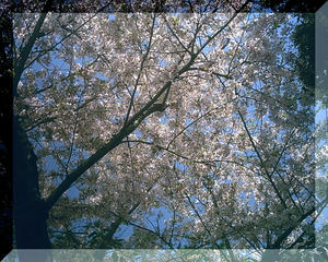 7b630d45.JPG