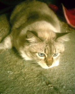36f462e6.jpg