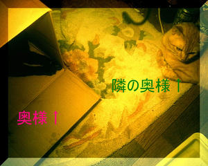 PH001.jpg