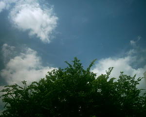 7a6927c3.JPG