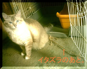 7a67526a.JPG
