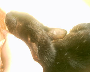 011e4d74.JPG