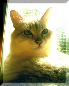 P10.JPG