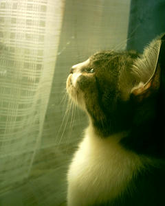 4f1a7c97.JPG
