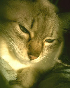 8254535f.JPG