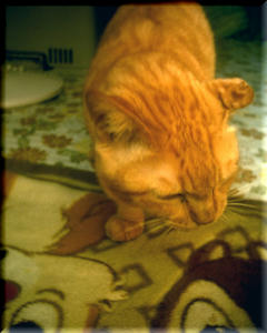25ddfa53.JPG