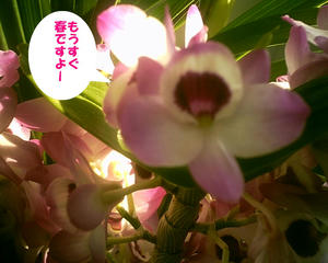 91a614bd.JPG