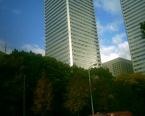 917343cc.JPG