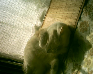 d744e812.JPG