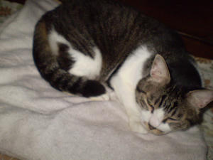 P1230001.JPG