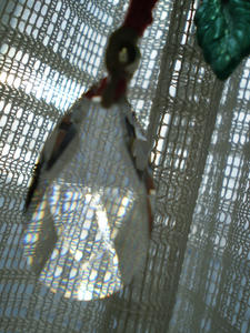 P3050008.JPG