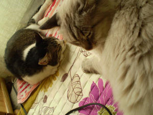 P3130005.JPG
