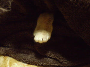 P3060001.JPG