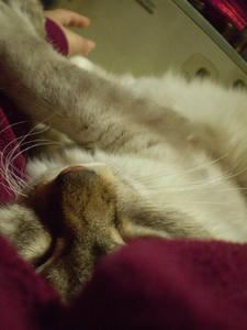 P3150001.JPG