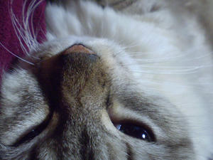 P3150002.JPG