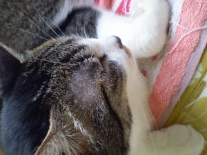 P3130007.JPG