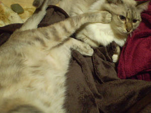 P3300015.JPG