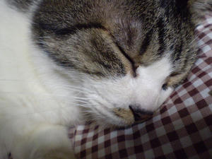 P3250007.JPG