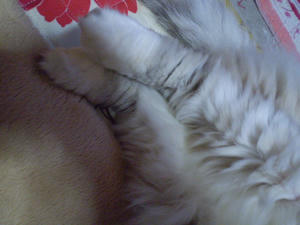 P5310020.JPG