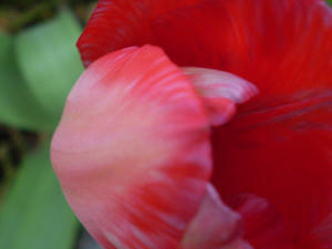 P6250003.JPG