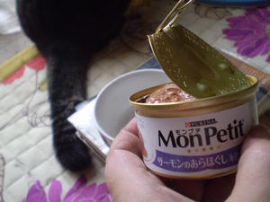 P8060012.JPG