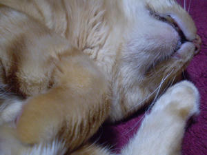 P8080033.JPG