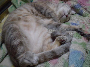 PC140088.JPG