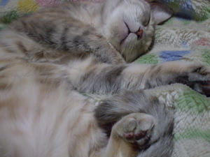 PC140089.JPG
