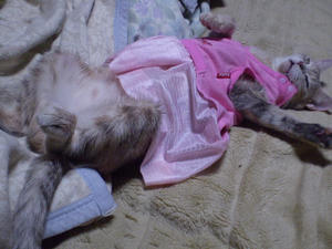 P1190001.JPG
