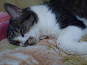 P1110047.JPG