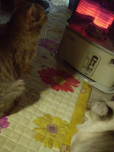 P1280003.JPG