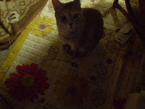 P1280007.JPG