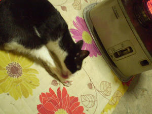 P2010008.JPG