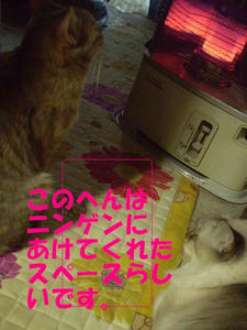 92271051.jpeg