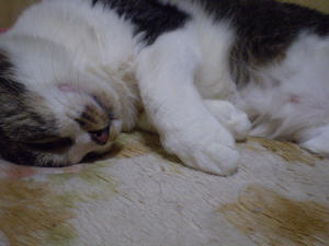 P1110048.JPG