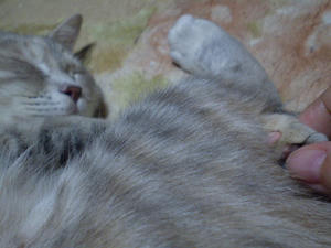 P3300001.JPG