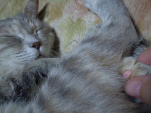 P3300002.JPG