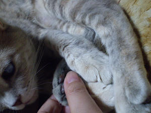 P3300003.JPG