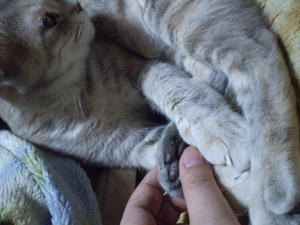 P3300004.JPG