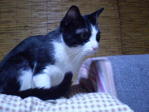 P1210067.JPG