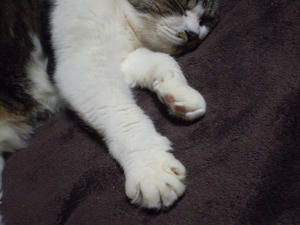 P4190066.JPG