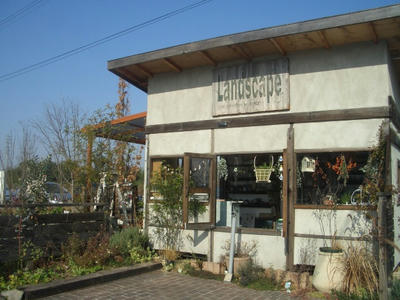 CIMG0391.JPG