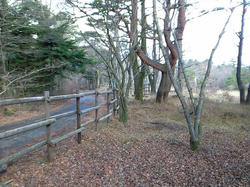 NEC_0034.JPG