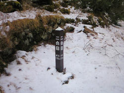 NEC_0037.JPG